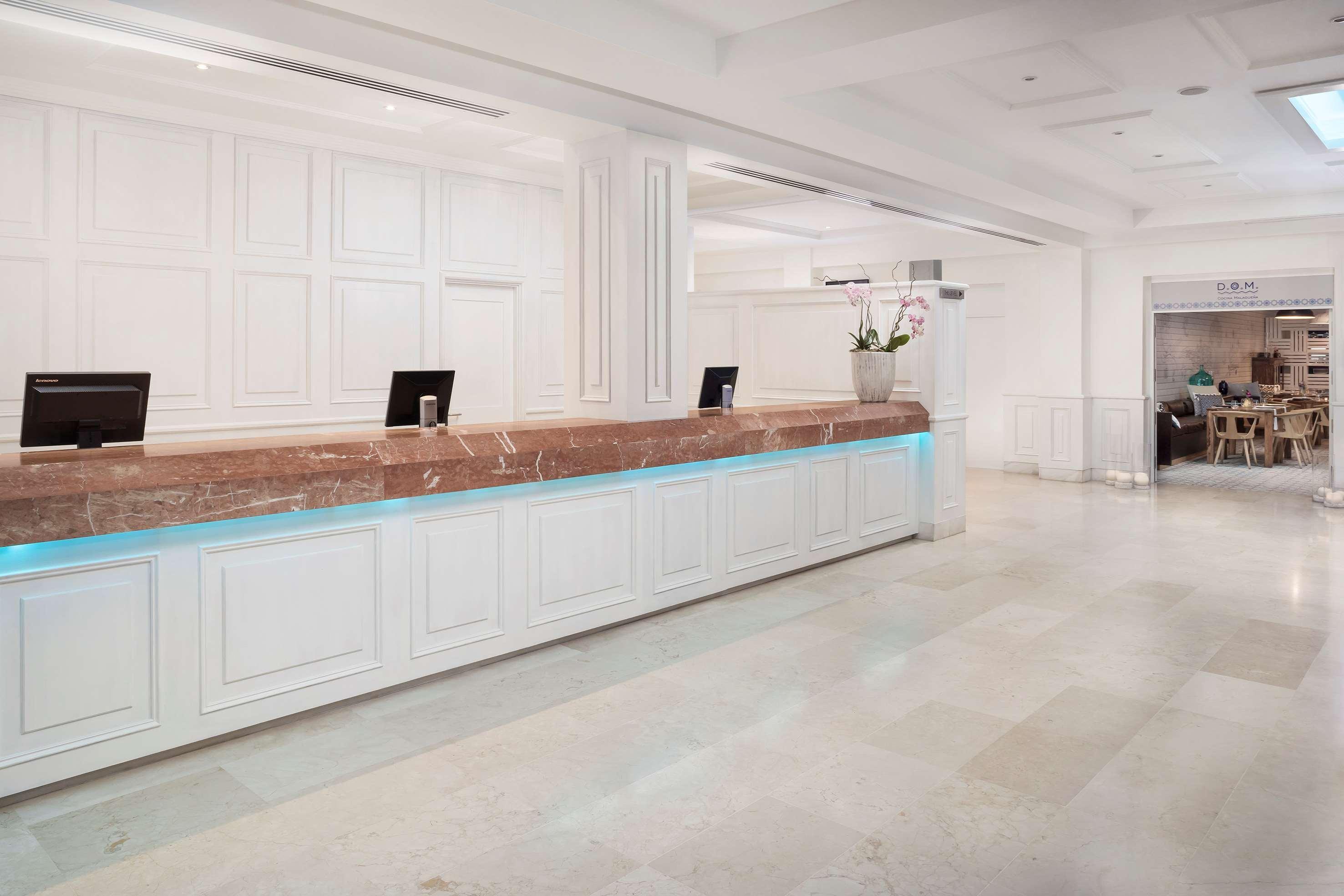 Hotel Melia Banús 5*